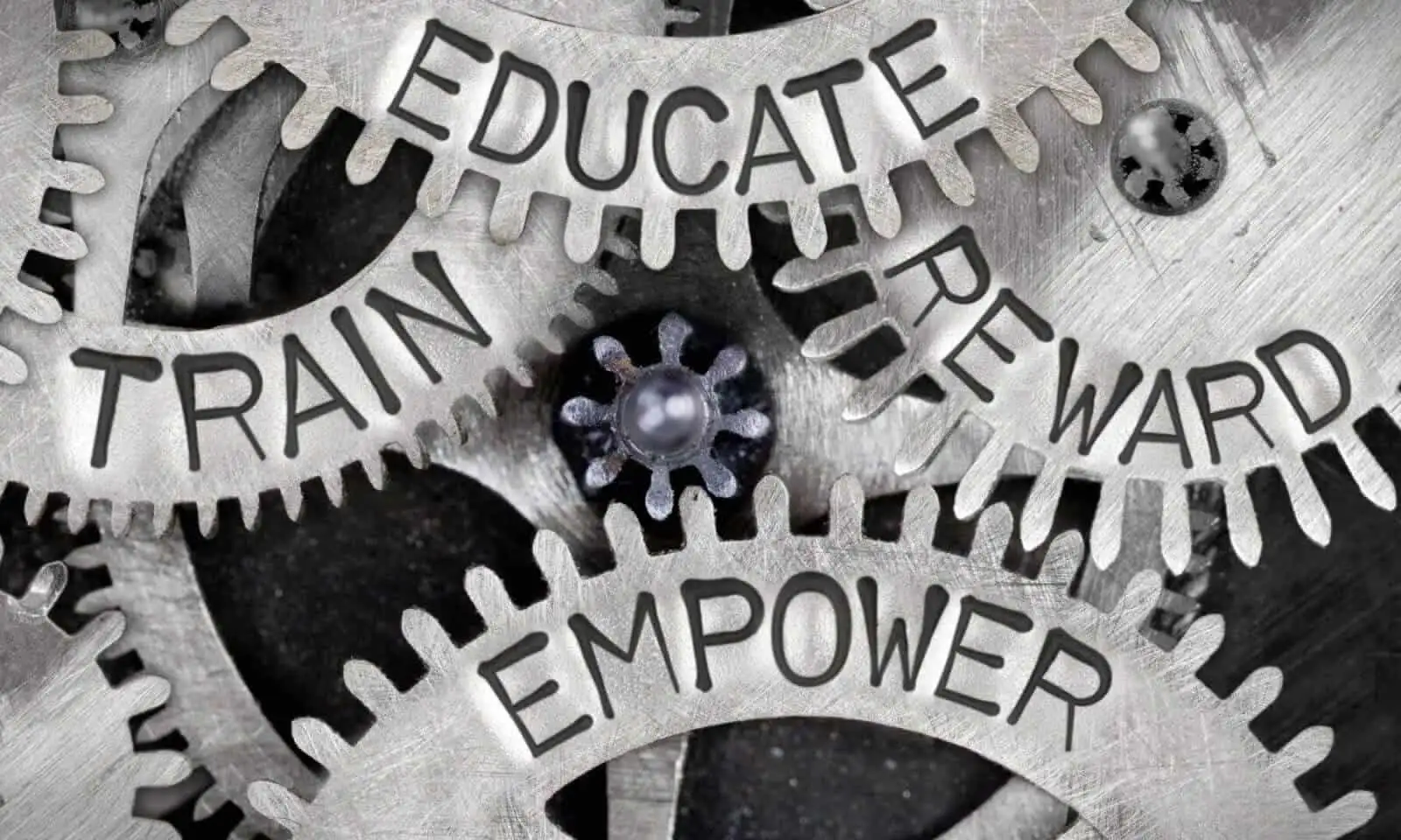 Why Not Change The World With Education? 3 Empowered to change the world