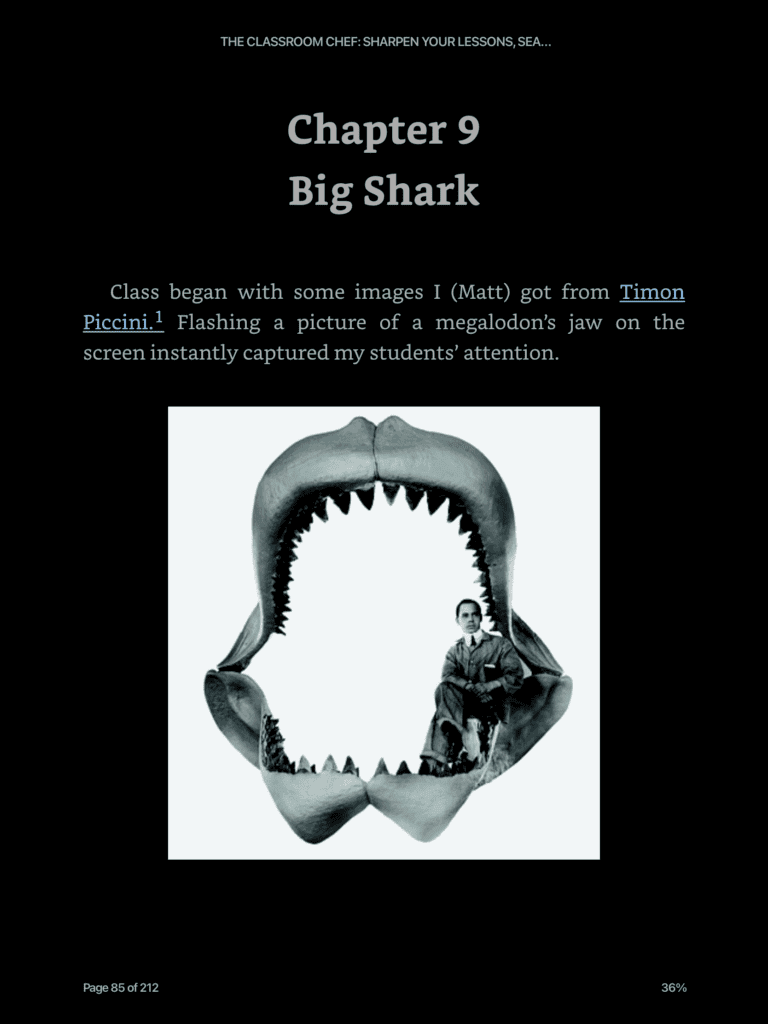 Anticipatory Set or Appetiser - Big Shark