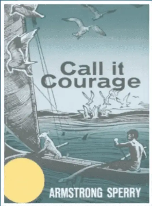 Call it Courage by Armstrong Sperry