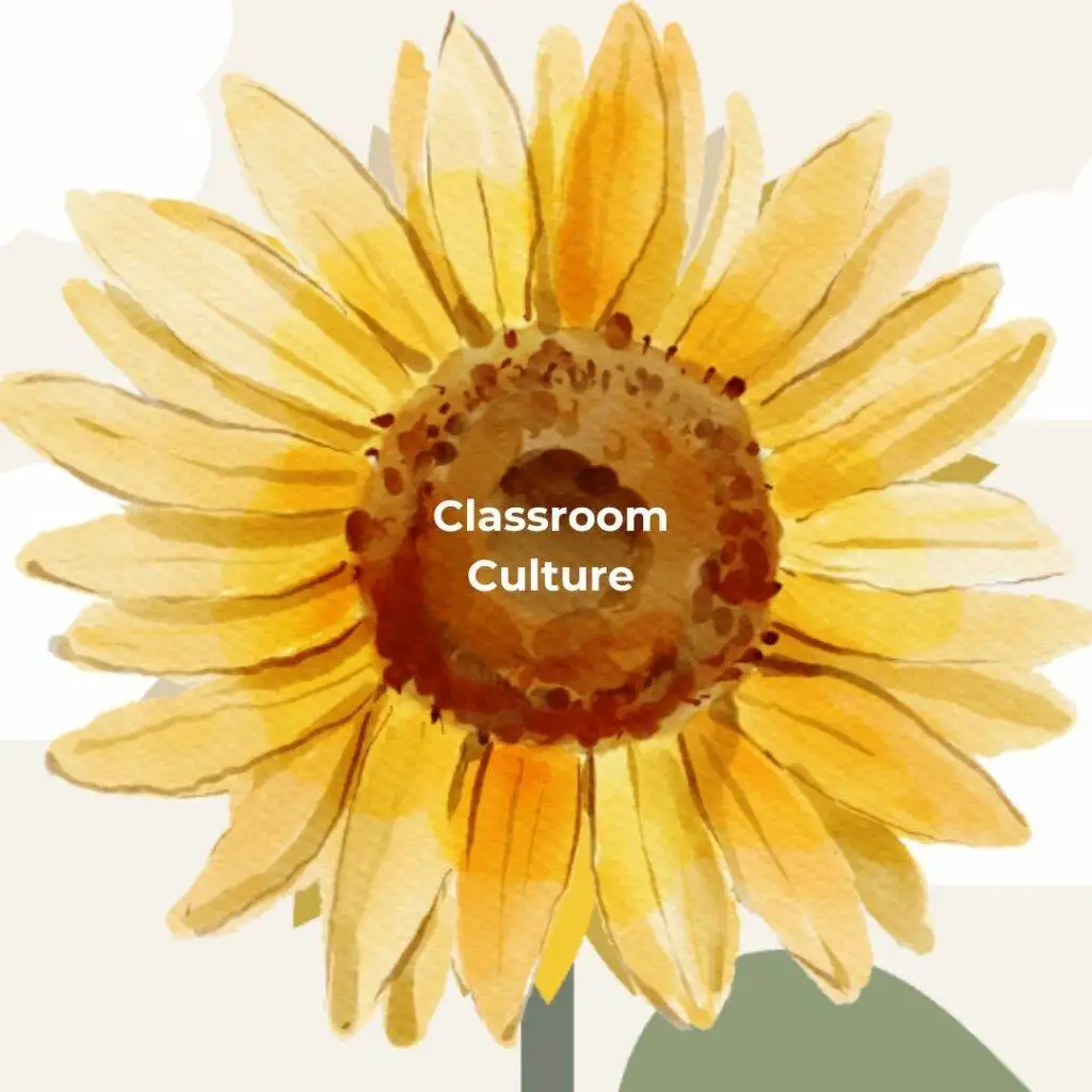 2 - classroom culture - one of FOUR steps to being a professional teacher