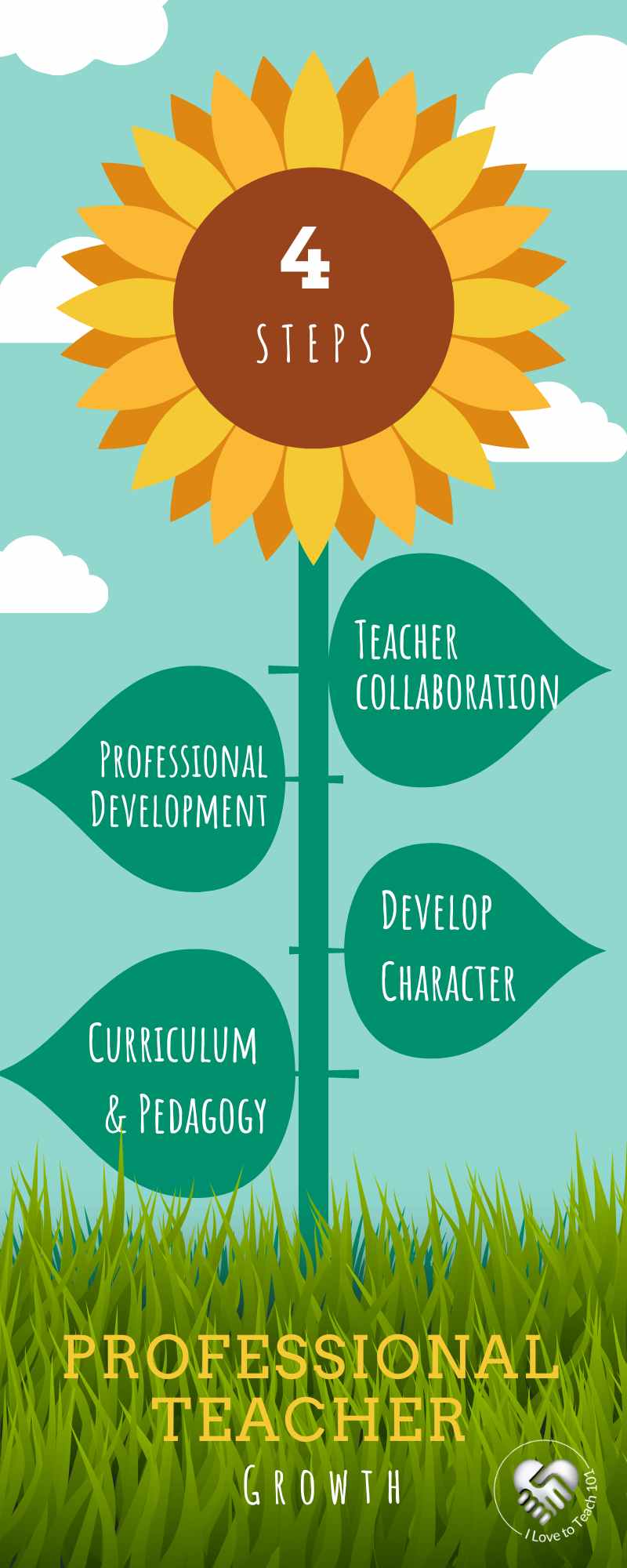 ILTT Professional Teacher Infographic