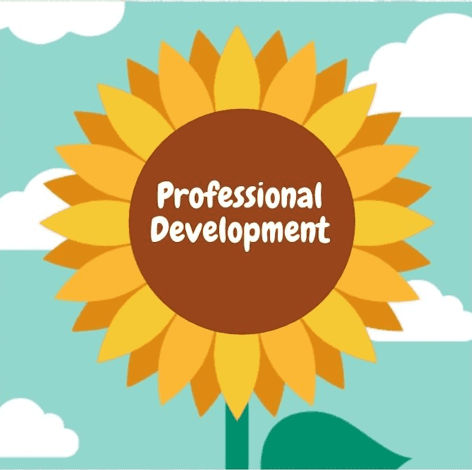 seek professional development