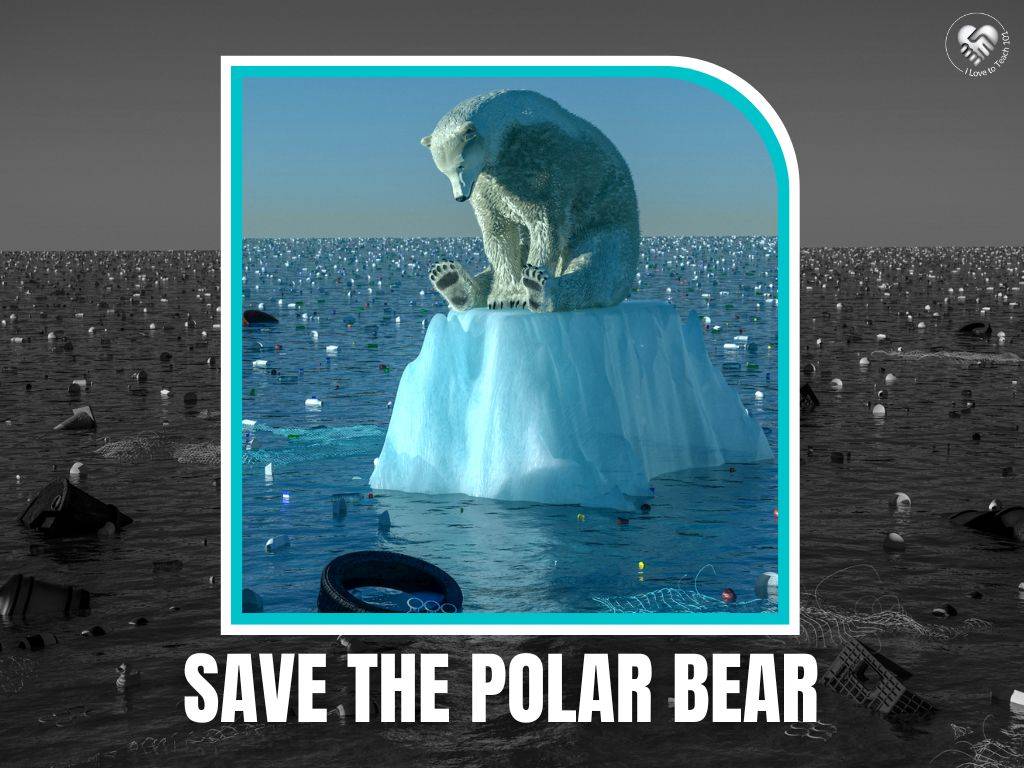 Brain-based learning - thinking skills - save the polar bear