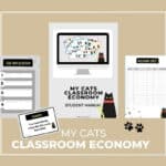My Classroom Economy