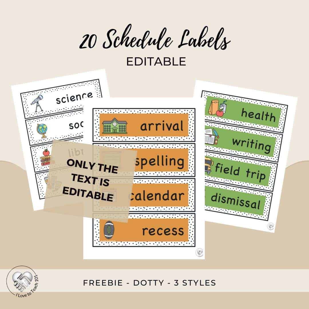 20 Daily Schedule Labels - Editable
