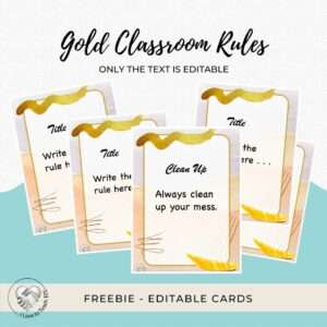 Gold Classroom Rules Cards Pack cover