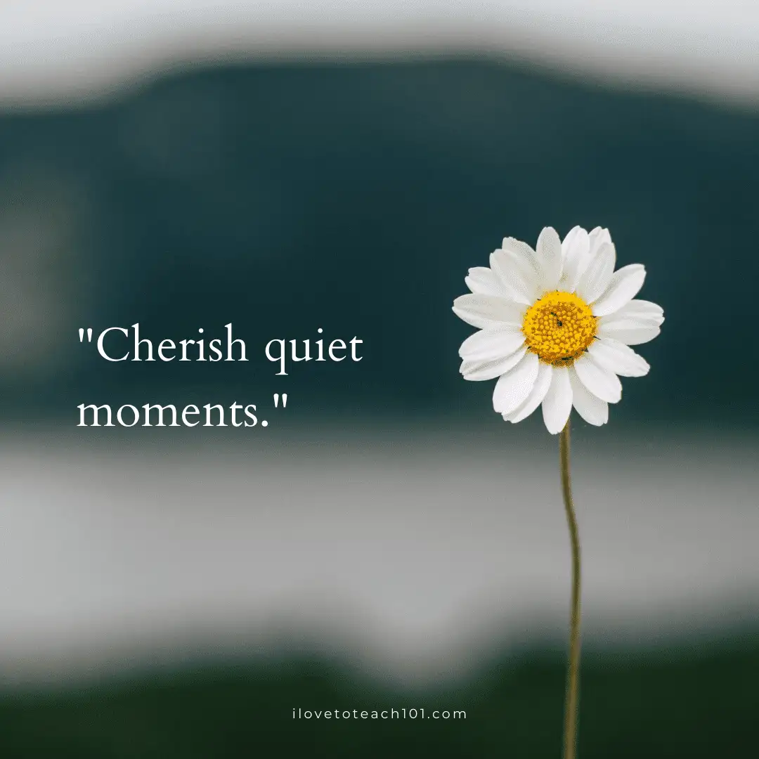 How to Improve Teacher Wellbeing? 2 cherish quiet moments to improve teacher wellbeing